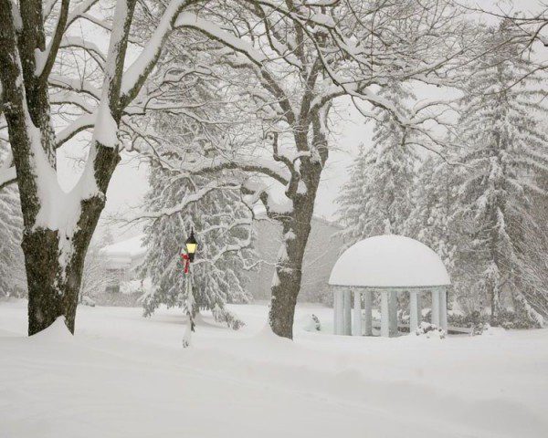 sprinhousesnow