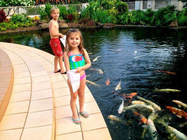 img_0885 Feeding the koi at Four Seasons Manele Bay
