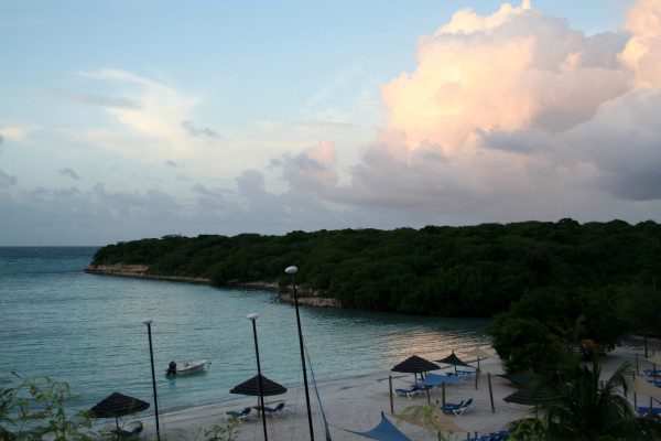 img_3240 img_3240