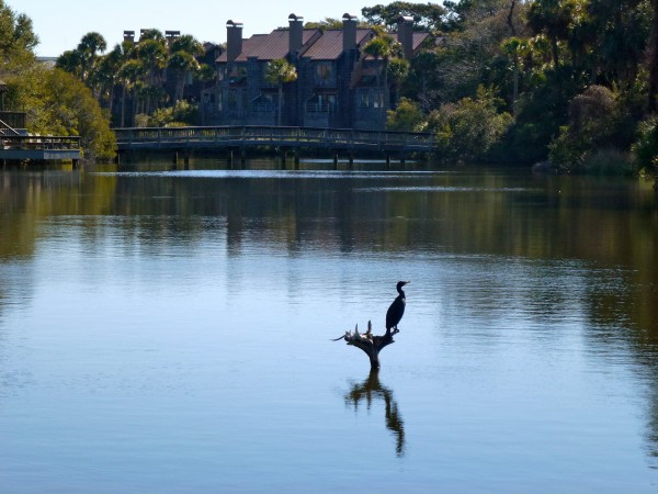 p1010352 One of Kiawah Island's many lagoons