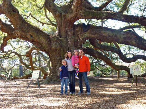 p1010392 Visiting the Angel Oak on route to Charleston