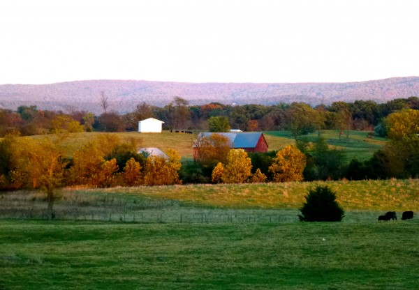 Hunt country in Virginia Hunt country in Virginia