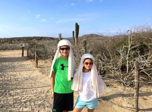 Camel riding in Cabo San Lucas